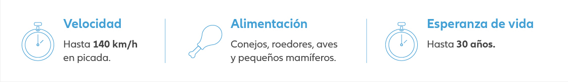 pruebas