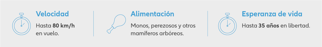 pruebas