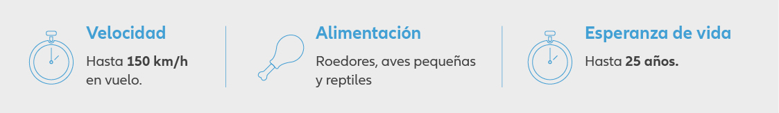 pruebas