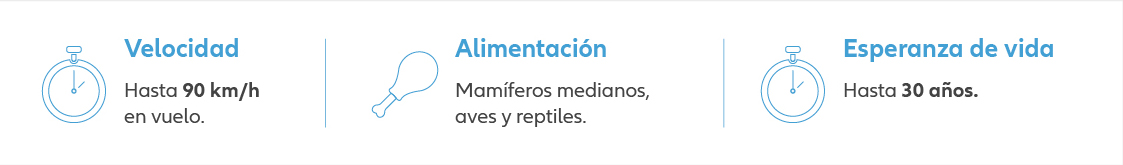 pruebas