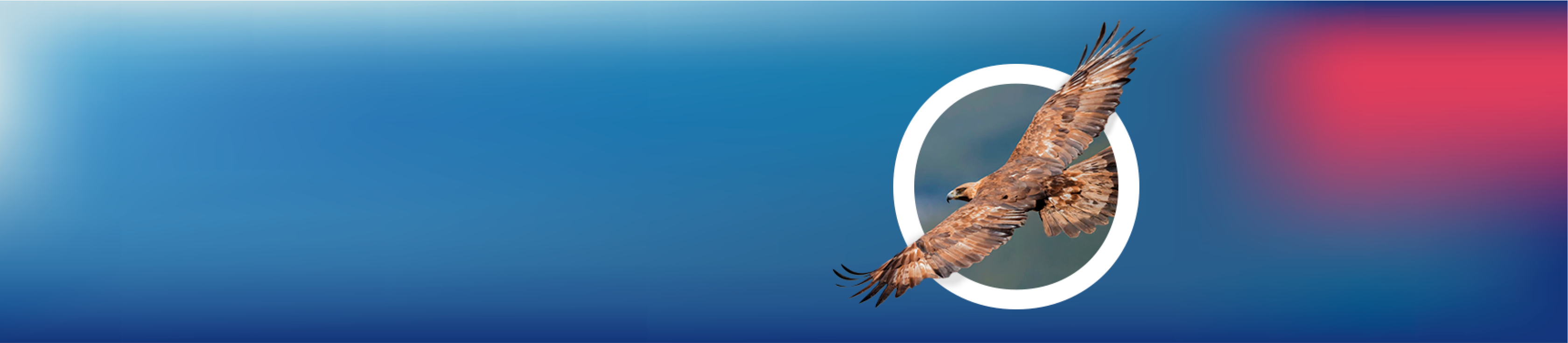 Mes del aguila