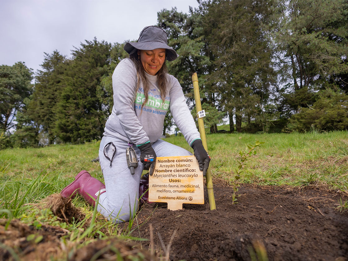 Mujer cultivando